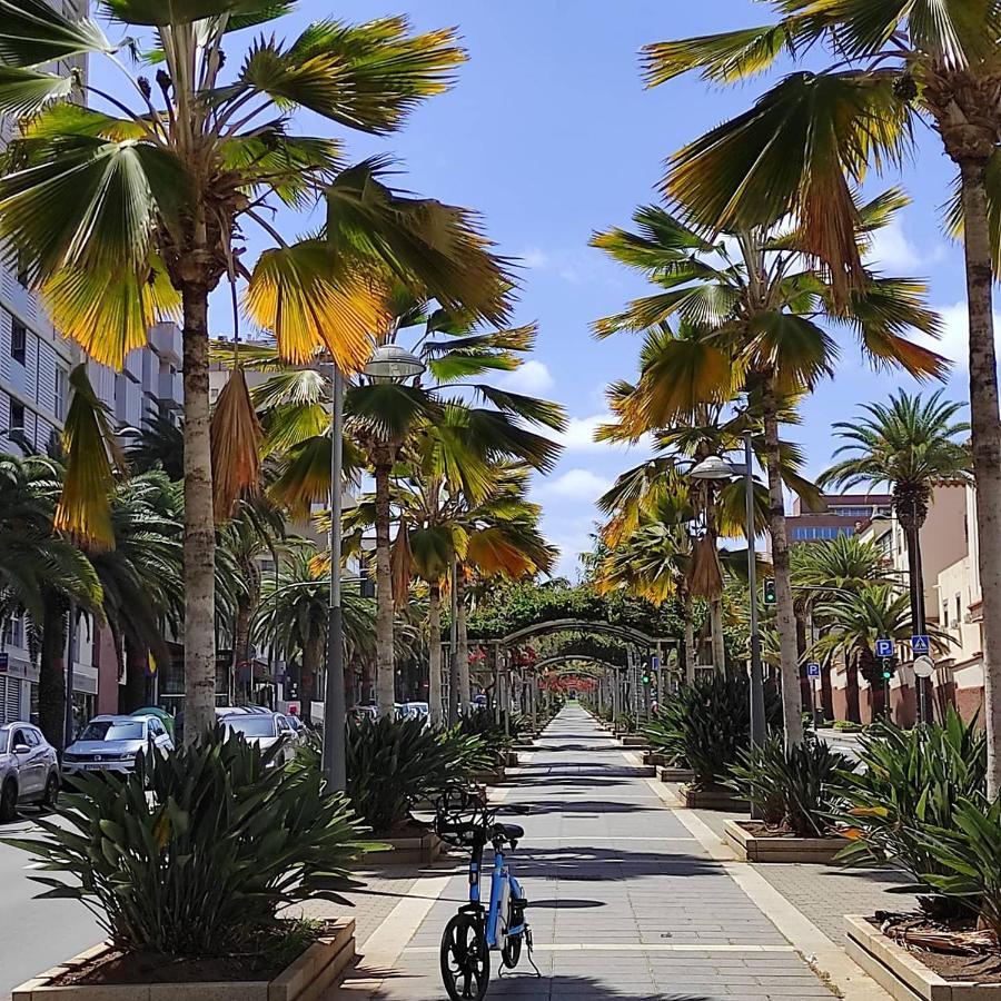 Apartamento Bien Situado - Buenas Conexiones Santa Cruz de Tenerife Exteriör bild