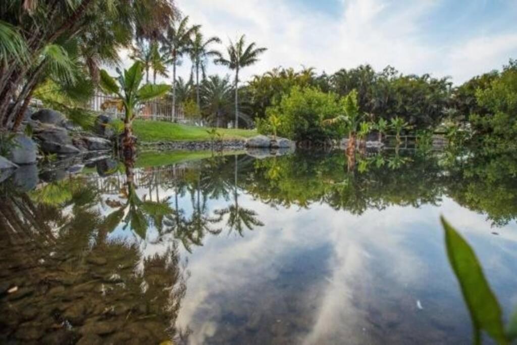 Apartamento Bien Situado - Buenas Conexiones Santa Cruz de Tenerife Exteriör bild