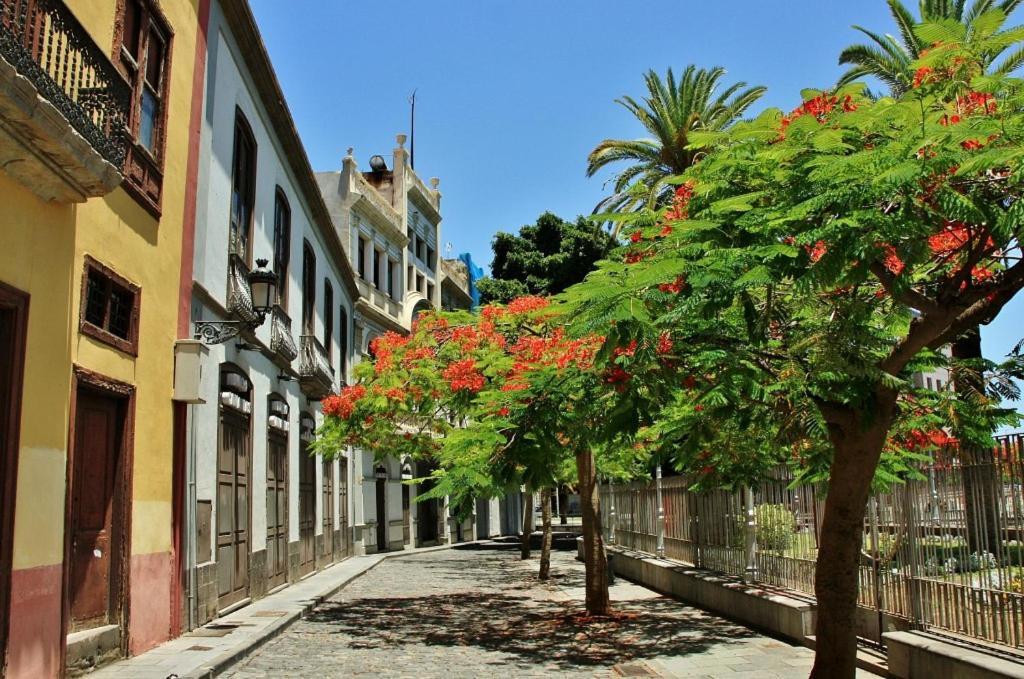 Apartamento Bien Situado - Buenas Conexiones Santa Cruz de Tenerife Exteriör bild